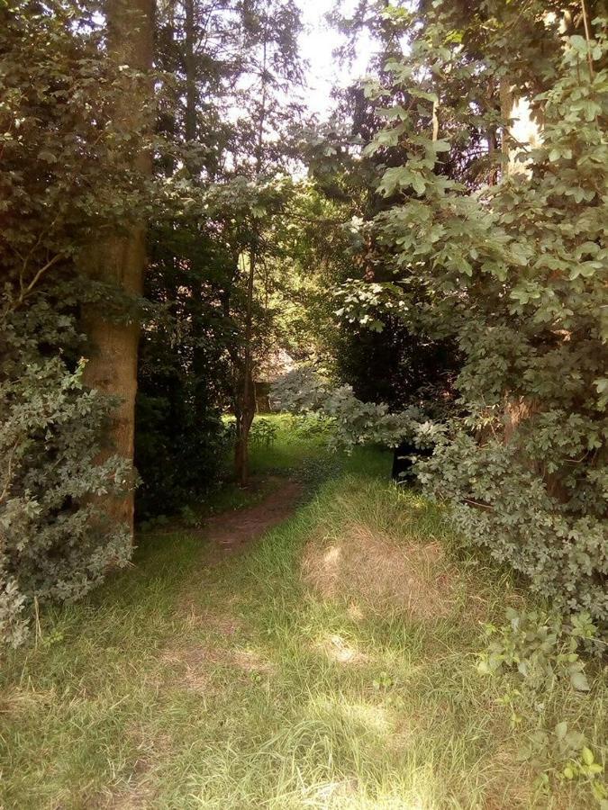 De Hoeve Mare Terre Giethoorn, Voor 1 Tot 6 Personen Eksteriør bilde